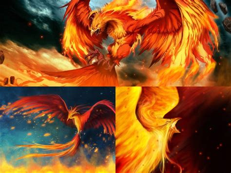 Download utorrent for windows pc from filehorse. Download Fire Phoenix Screensaver - Animated Wallpaper Torrent | 1337x