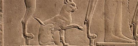 why did ancient egyptians worship cats magellantv articles by magellantv