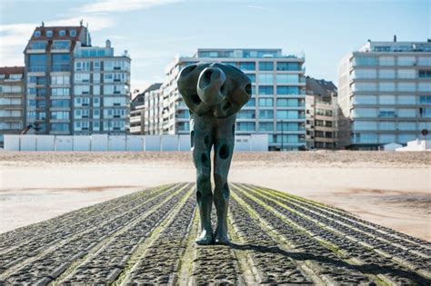 Wanneer de pijl van een moordenaar sera's moeder vergiftigt, moet sera op zoek naar het brein achter de moord om… 'Zeezucht' nodigt uit voor een poëtische wandeling langs unieke kunstwerken, op een zucht van de ...