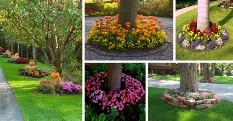 15 Amazing Ideas For Decorating The Landscape Around The Trees The