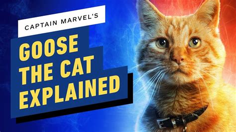 What Is The Cat In Captain Marvel Goose Explained Youtube