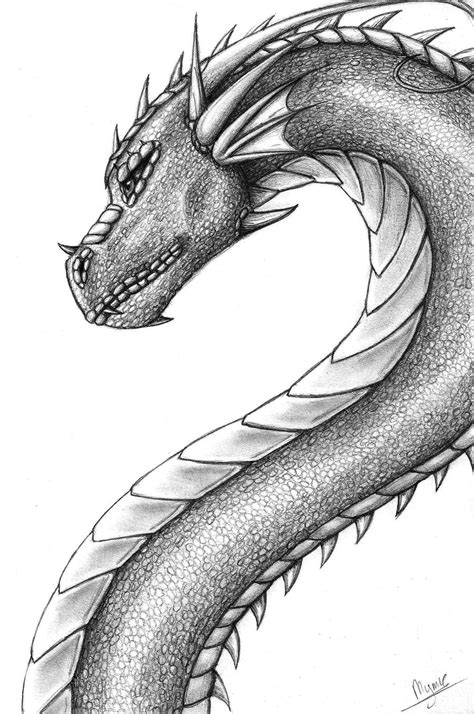 Pencil Drawing Dragon
