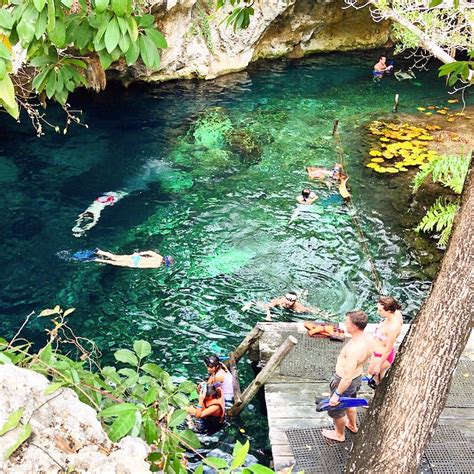 20 Fantásticos Cenotes En La Riviera Maya Que Debes Conocer