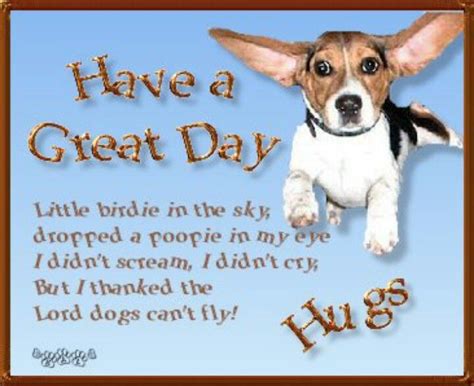 Have A Great Day Good Morning Funny Flying Dog Animal Quotes