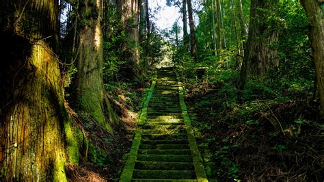 Download Wallpaper 3840x2160 Stairs Moss Trees Japan 4k