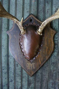 Taxidermy supplies deer mounts sd drawing ideas goats ohio hunting gadgets outdoors. 49 Best antler mount ideas | antler mount, antler mount ...