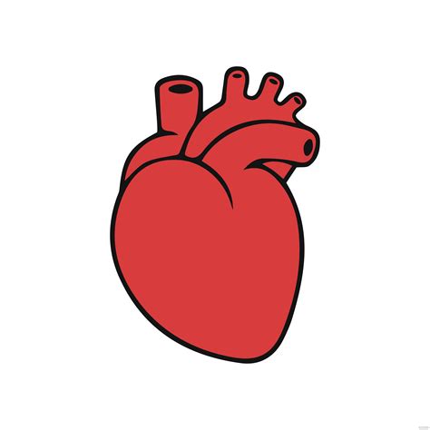 Free Simple Human Heart Clipart Eps Illustrator  Png Svg