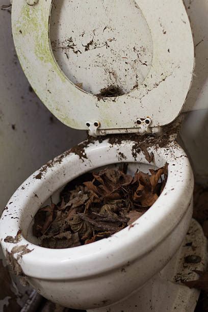 Diarrhea Toilet Dung Urinal Pictures Images And Stock Photos Istock
