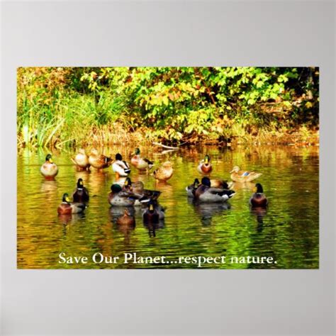 Save Our Planetrespect Nature Poster Zazzle