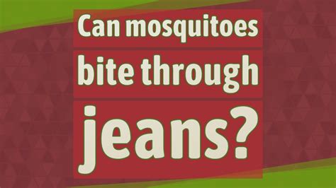 Can Mosquitoes Bite Through Jeans Youtube