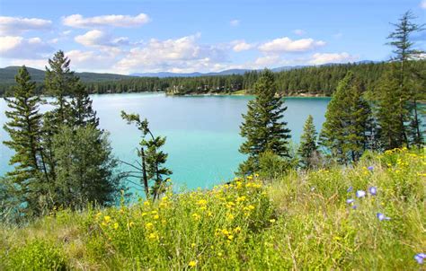 Discover The 5 Cleanest Lakes In Montana A Z Animals