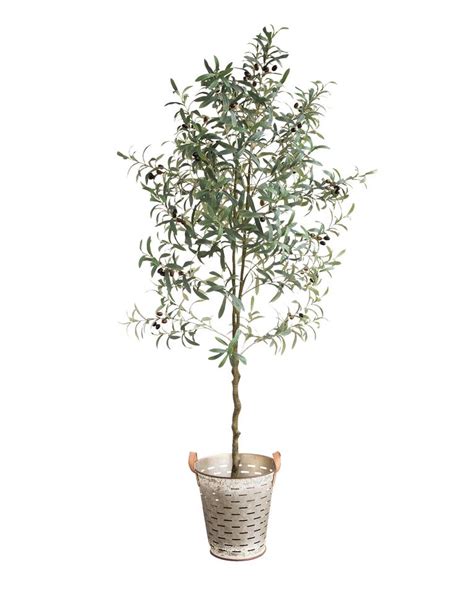 The silvery leaves of this olive tree form a lacy screen that filters light and adds elegance to any space. Faux Potted Olive Topiary - Green | Faux olive tree ...