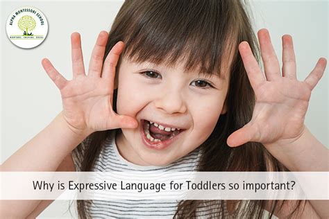 How To Improve Your Toddlers Expressive Language A Comprehensive