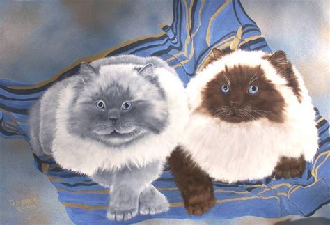 Himalayan Cats Painting By Debbie Lafrance