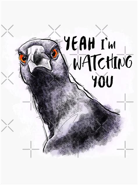 Australian Magpie Season Design Magpie Funny Attitude Quote Sticker