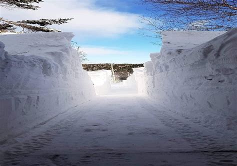 Tormenta Invernal Deja Hasta Cent Metros De Nieve En Canad