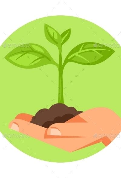 Illustration Of Human Hand Holding Small Plant By Incomible Graphicriver