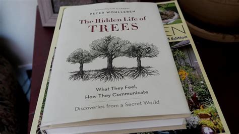 The Best Gardening Books The Hidden Life Of Trees Gardening Books