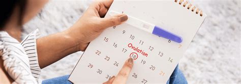 debunking common ovulation myths