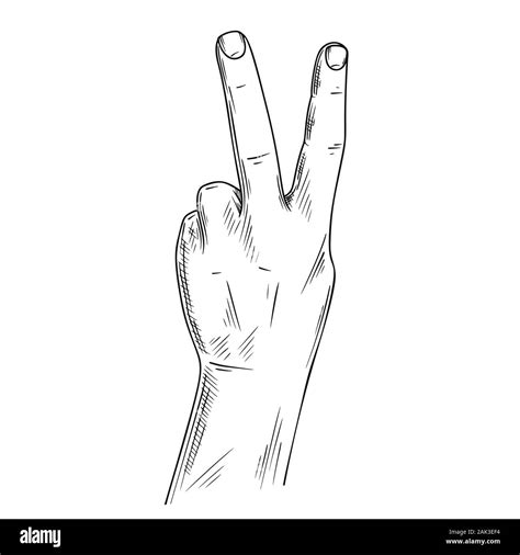 Hand Sign Victory Or Peace And Scissors Vector Illustration In Sketch