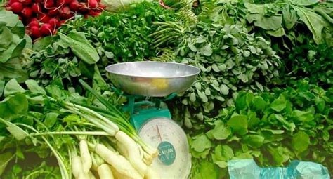 Gambar Sayur Sayuran Tempatan Sebagai Panduan Shoptrack
