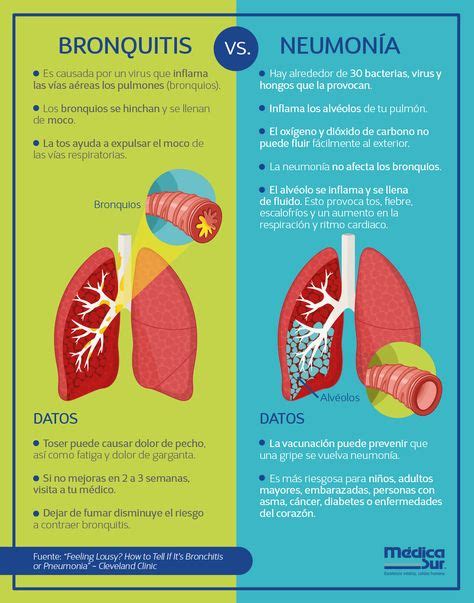 Enfermedades Respiratorias Y Sus Sintomas