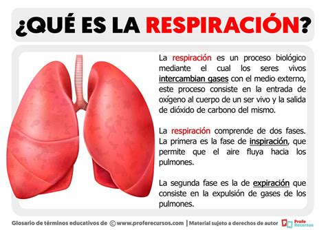 Qué es la Respiración