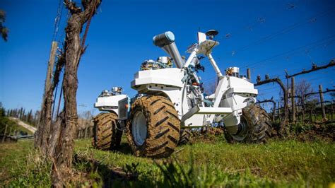 Yanmar Smash Robot For A Sustainable Farming Future The Heavyquip