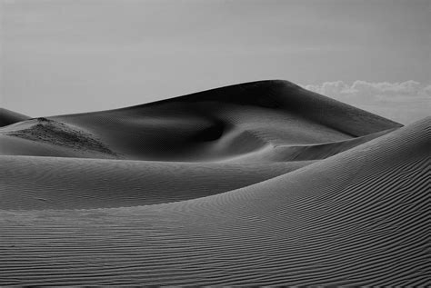 Lines In The Sand Photograph By Munir El Kadi Fine Art America