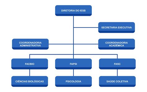 Modelo De Organograma Funcional