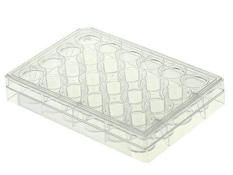 Sterile 24 Well Cell And Tissue Culture Plates Pack Of 5 Non Treated Tillescenter Glassware