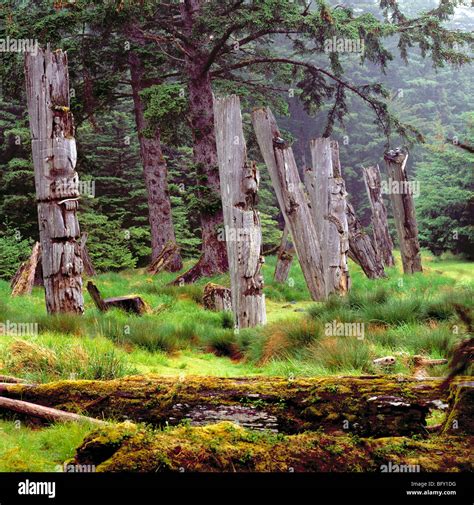 Ninstints Haida Gwaii Queen Charlotte Islands Bc British Columbia