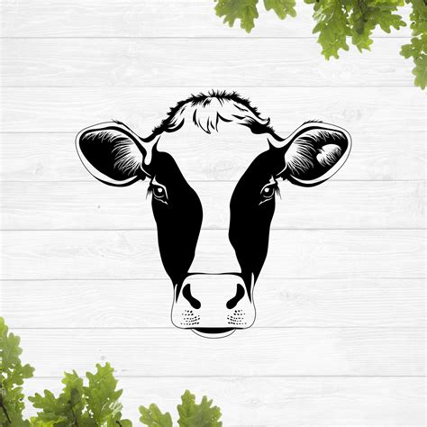 Heifer Svg Cow Vector Cute Cow Svg Cow Face Svg Cow Svg Cow Clipart