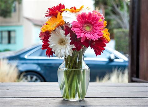 Cómo Conservar Las Flores En Un Florero