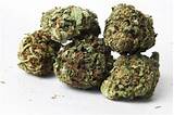 Images of Weed Pot Marijuana