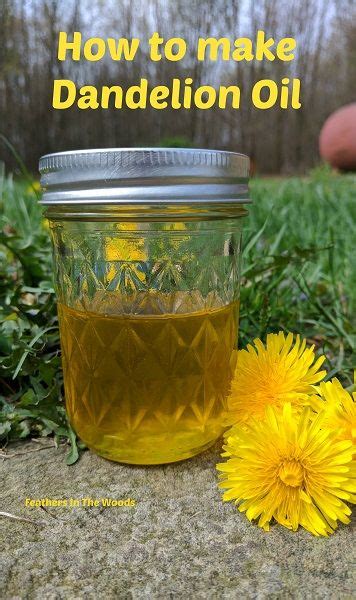 how to make dandelion oil it s super easy dandelion oil natural