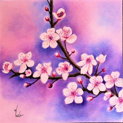 Flower Drawing With Color – Beautiful Flower Arrangements and Flower
