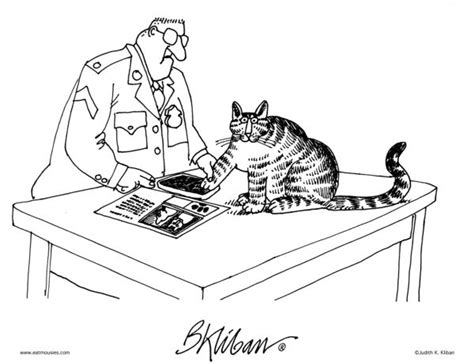 Today On Klibans Cats Comics By B Kliban Kliban Cat Cats