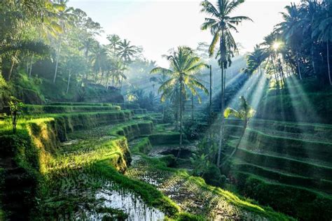 Top 20 Most Beautiful Places To Visit In Bali Globalgrasshopper