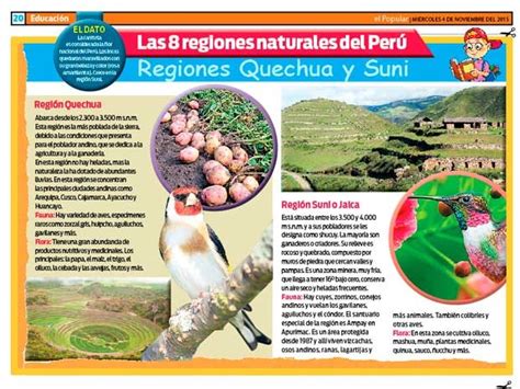 Las 8 Regiones Naturales Del Perú Regiones Quechua Y Suni Elpopularpe