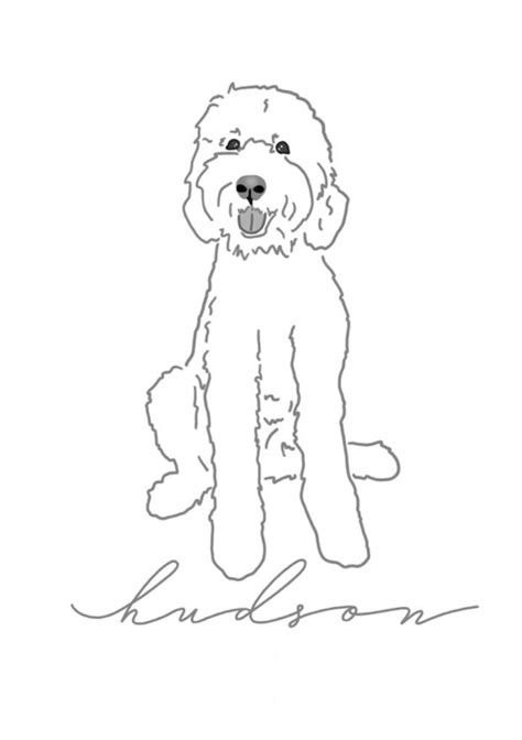 Goldendoodle Coloring Page Coloring Page Blog