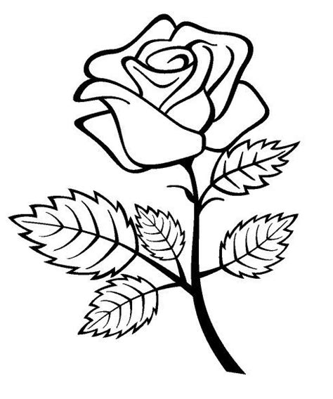 Er zijn onder andere plaatjes van een roos, zonnebloemen, tulpen andere 'bloemen' kleurplaten bekijken print deze kleurplaat. Kleurplaat Roos Bloem
