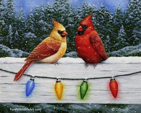 Northern Red Cardinals Sit On A Snow Covered Fence With Christmas Lights Original Bird