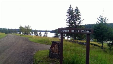 Roche Lake Provincial Park Kamloops 2020 All You Need To Know