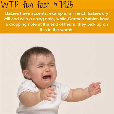 Wow Facts Wtf Fun Facts True Facts Funny Facts Random Facts Crazy