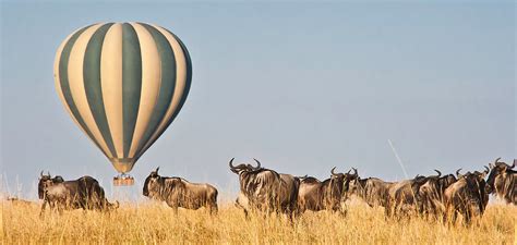 Hot Air Balloon Safari In Masai Mara National Park Kenya Safari Tours