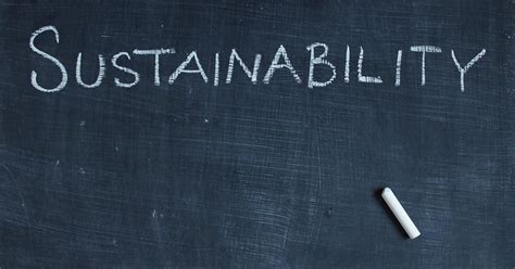 What Is Sustainability And Why Is It Important