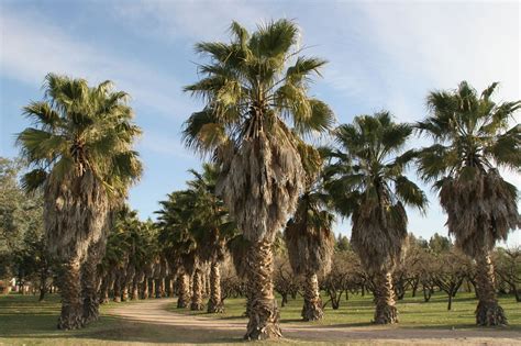 See more of constituyentes on facebook. Bosque de los Constituyentes