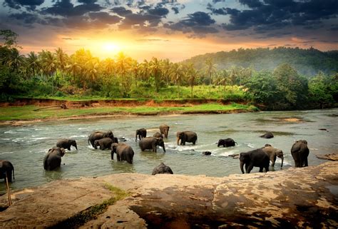 The Best Time To Visit Sri Lanka In 2023 Travellers