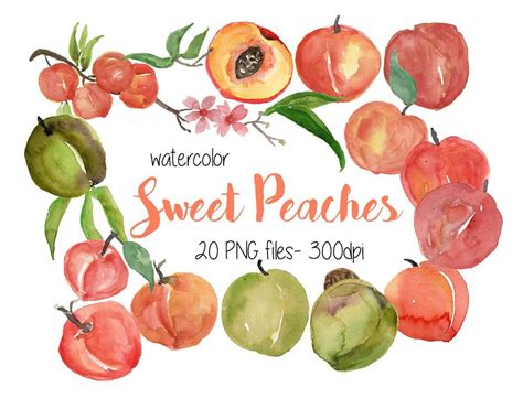 Sweet Peaches Clipart Watercolor Peaches Clipart Watercolor Etsy